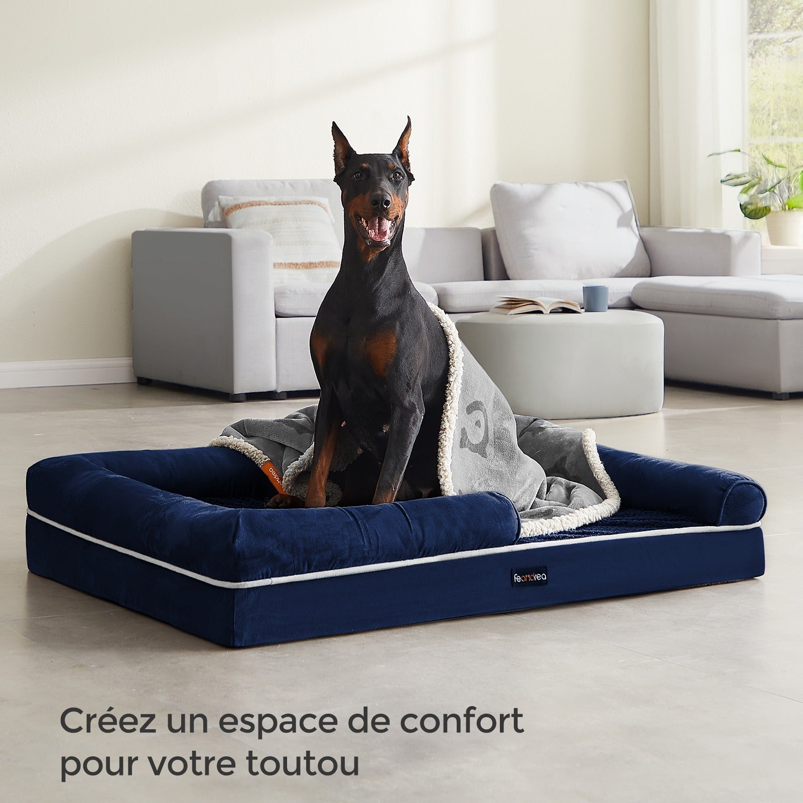 Panier Orthopédique pour Chien - MinisPets