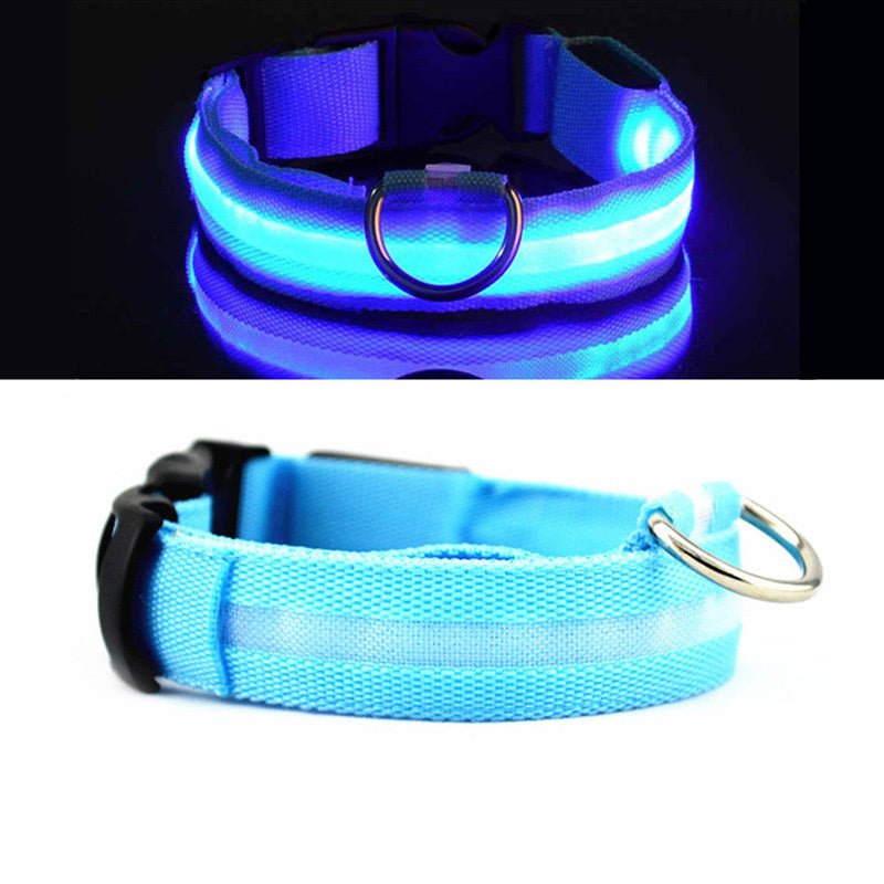 Collier Lumineux Réfléchissant pour Chien - MinisPets