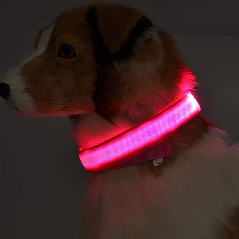 Collier Lumineux Réfléchissant pour Chien - MinisPets