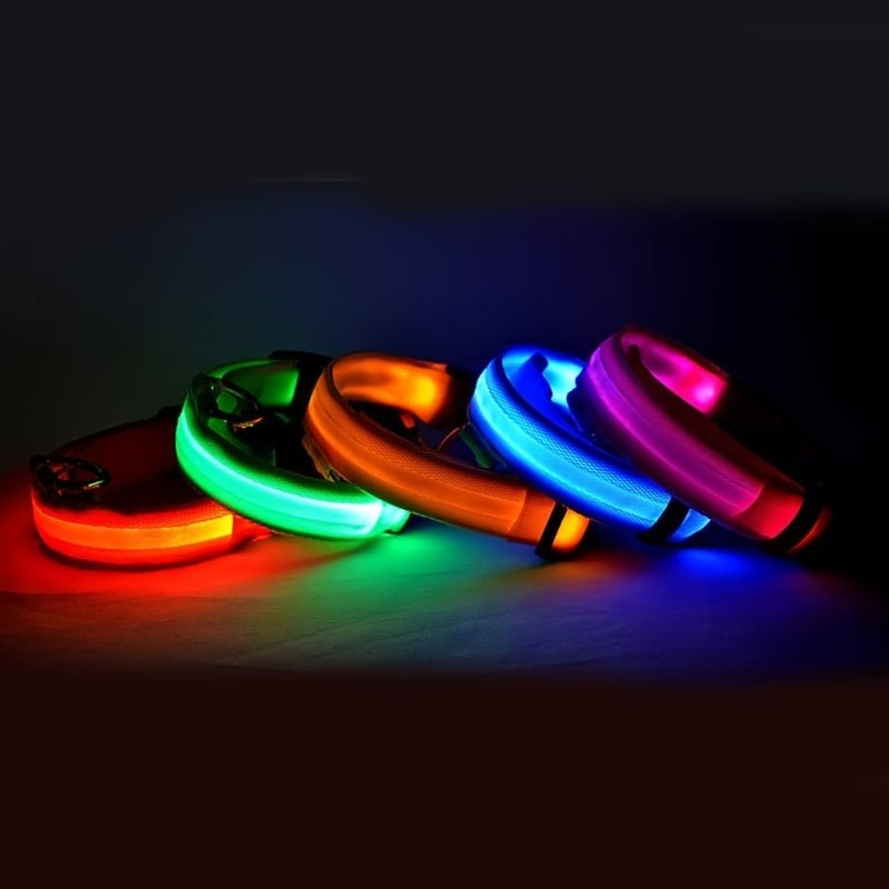 Collier Lumineux Réfléchissant pour Chien - MinisPets