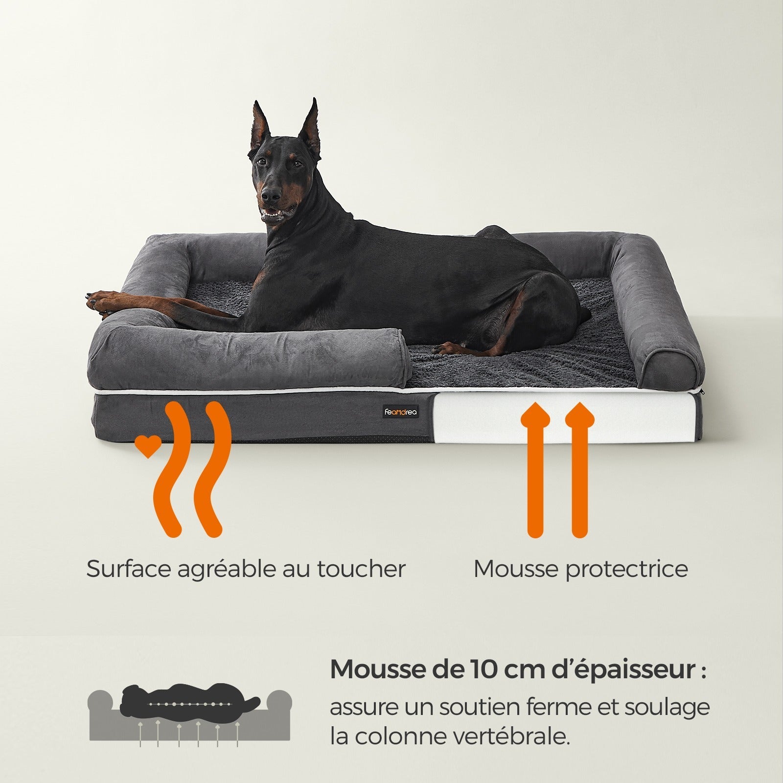 Panier Orthopédique pour Chien - MinisPets