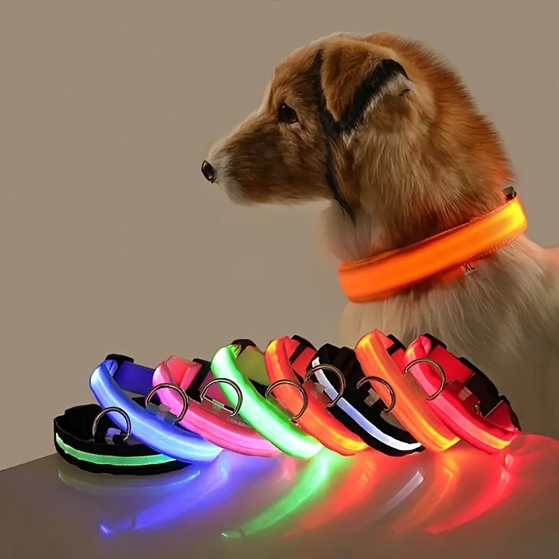 Collier Lumineux Réfléchissant pour Chien - MinisPets