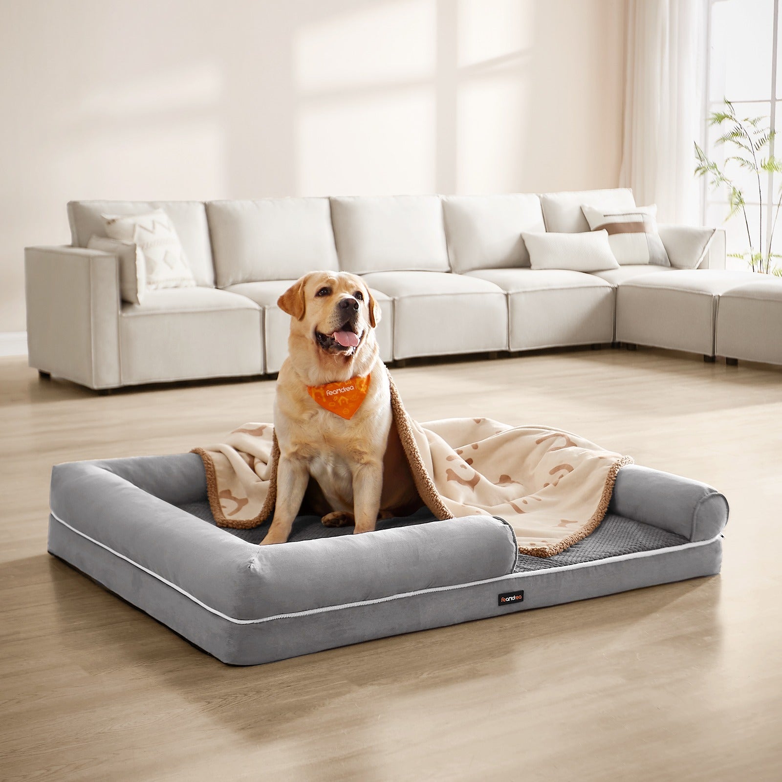 Panier Orthopédique pour Chien - MinisPets