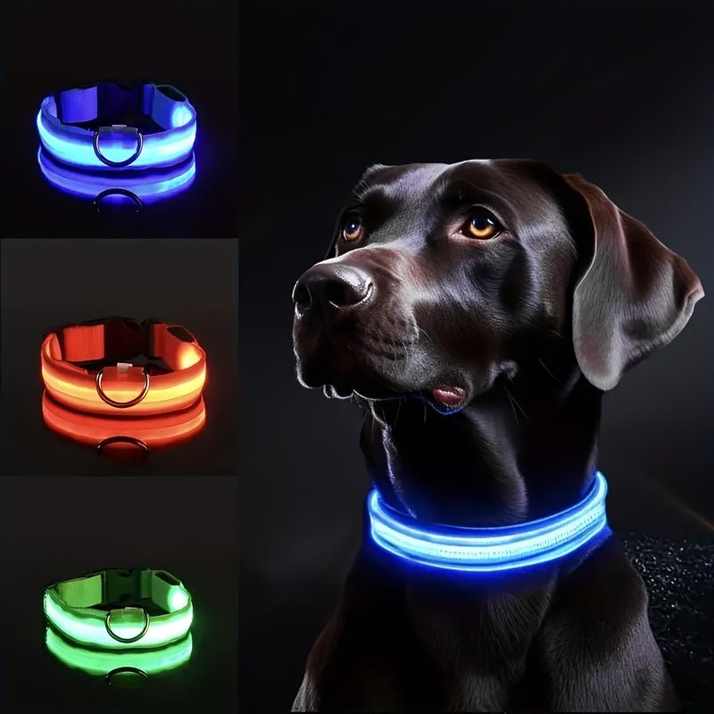 Collier Lumineux Réfléchissant pour Chien - MinisPets