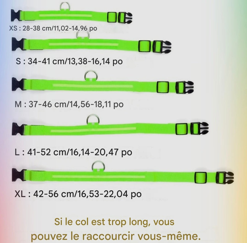 Collier Lumineux Réfléchissant pour Chien - MinisPets