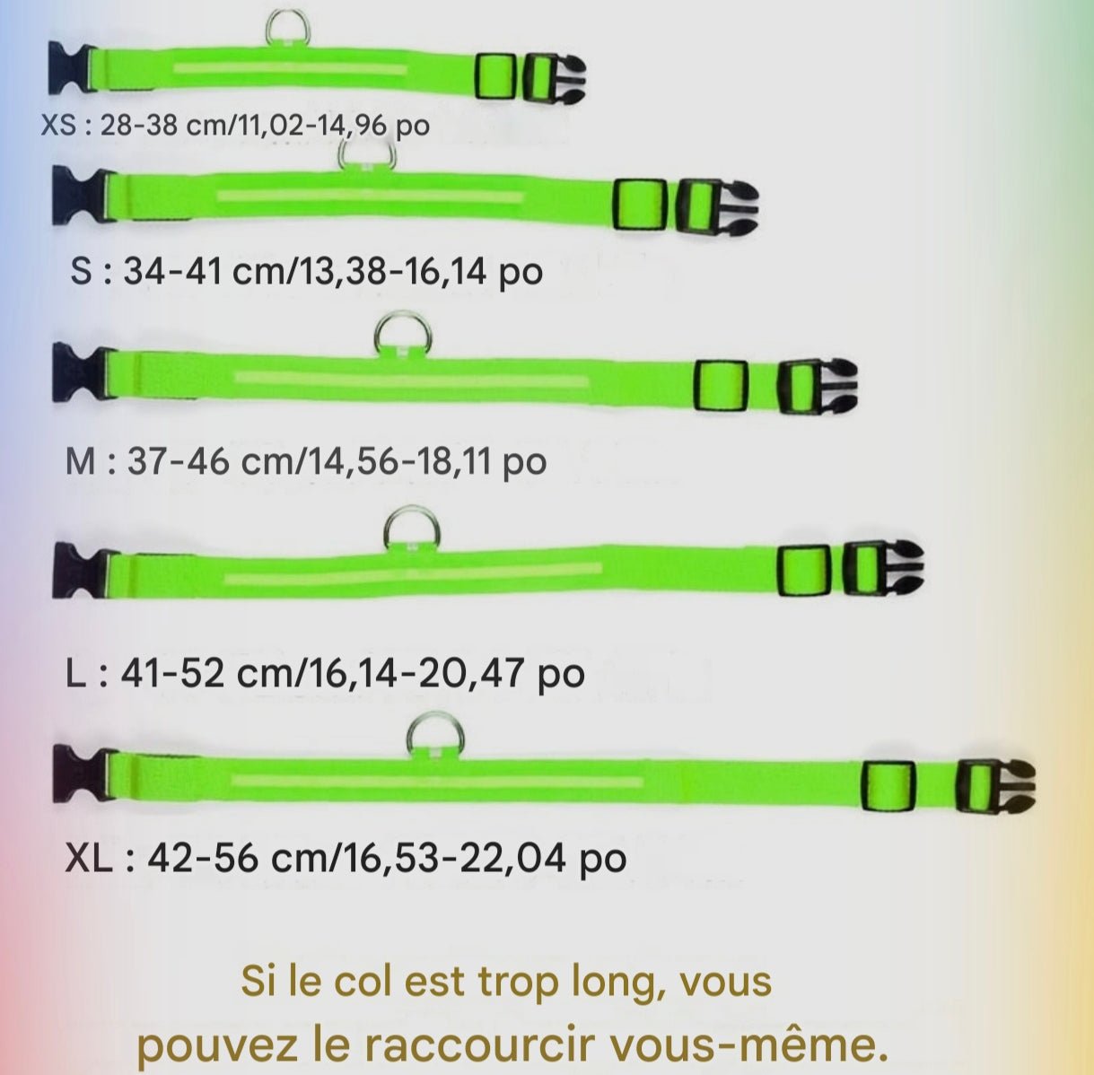 Collier Lumineux Réfléchissant pour Chien - MinisPets