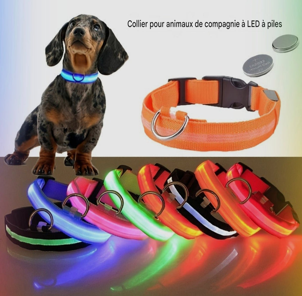 Collier Lumineux Réfléchissant pour Chien - MinisPets