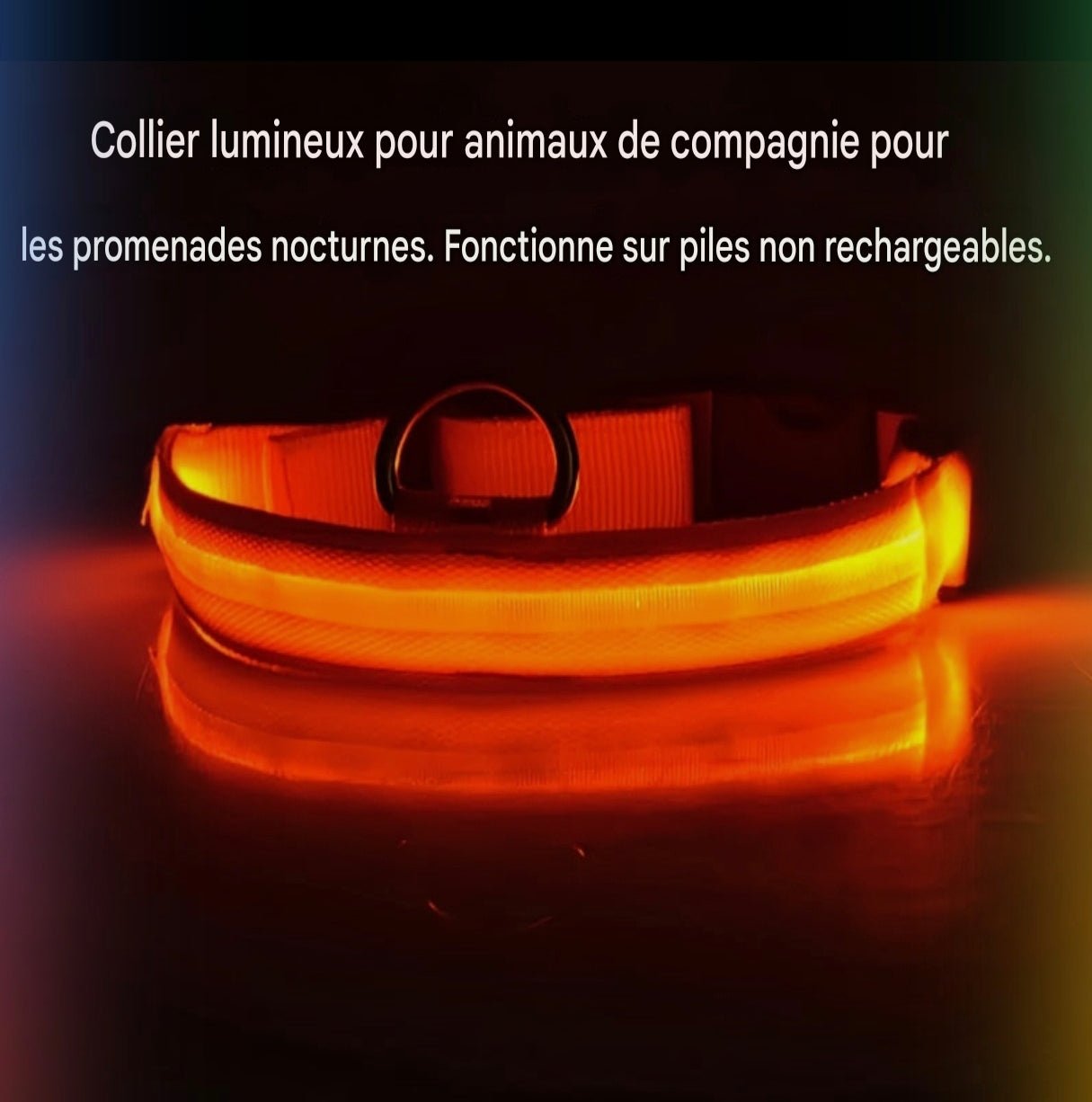 Collier Lumineux Réfléchissant pour Chien - MinisPets