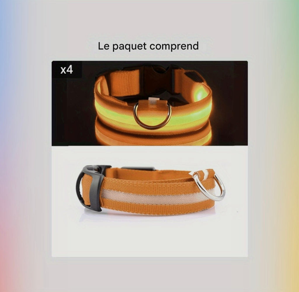Collier Lumineux Réfléchissant pour Chien - MinisPets