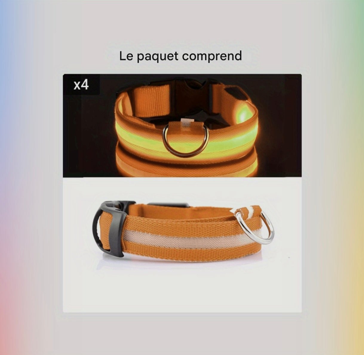Collier Lumineux Réfléchissant pour Chien - MinisPets