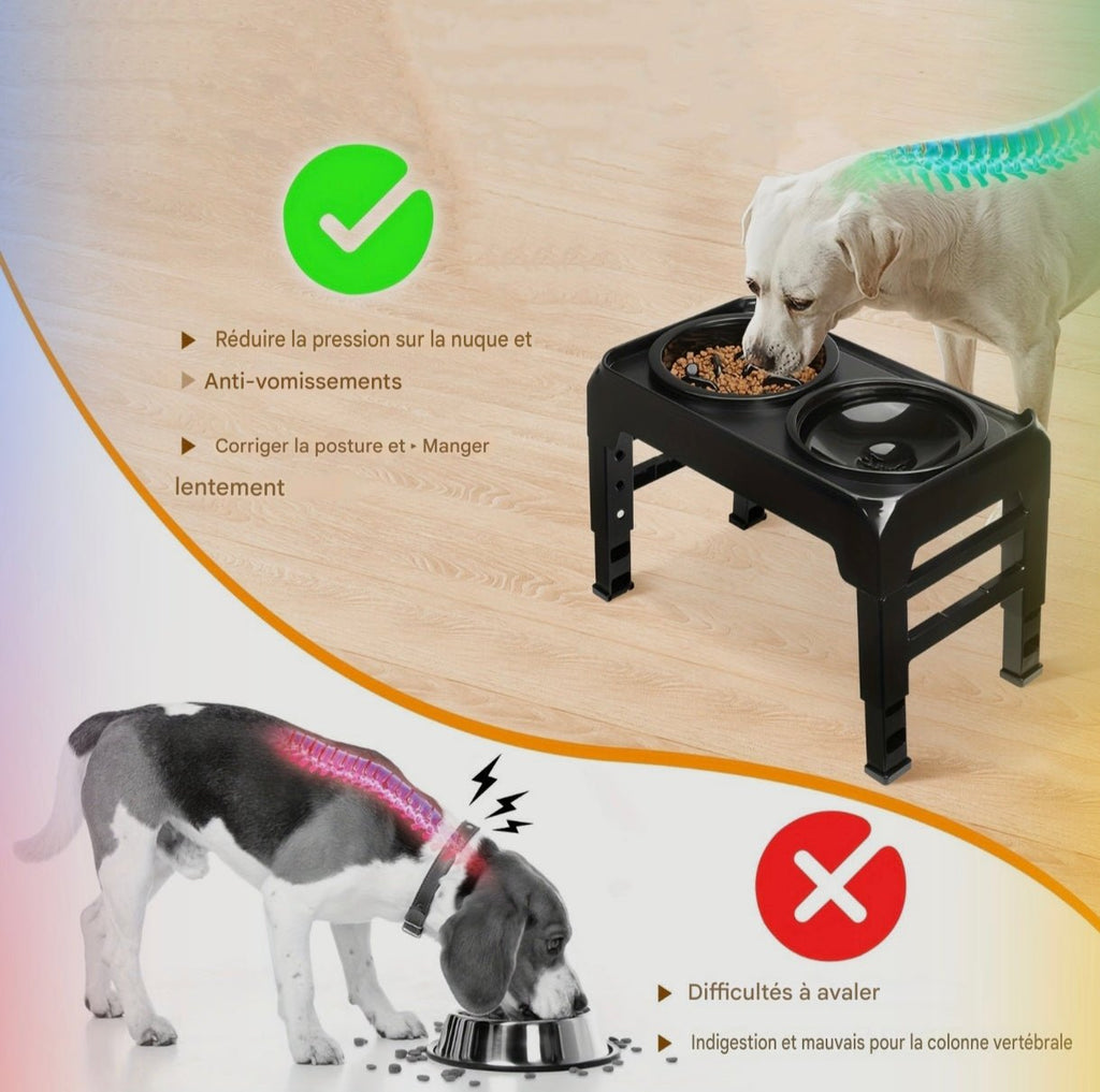 Gamelle anti - glouton surélevée réglable pour chien - MinisPets